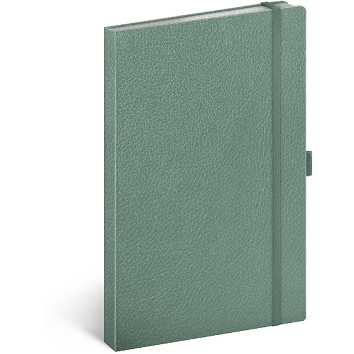 Realsystem A-33209 Vivella notesz 13x21cm zöld vonalas keménytáblás gumival tolltartóval #1