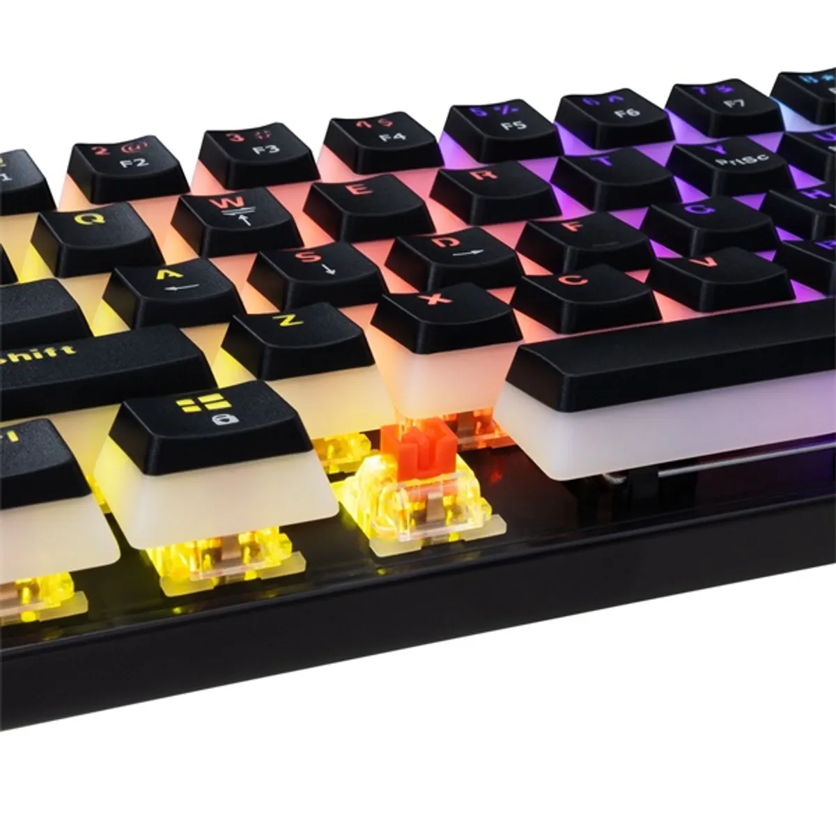 White Shark WS GK-2202-2B/R-US Ashiko 2 US piros kapcsoló RGB gamer billentyűzet #4