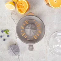 Berlinger Haus BH/9719 elektromos citrus facsaró 40 W 0,7 L Szürke 15 cm szélesség 20 cm magasság Légyűjtő edény #3
