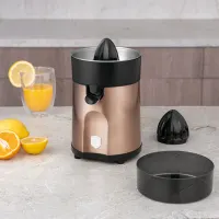 Berlinger Haus BH-9588 gyümölcsfacsaró gép rózsaarany 85 W 0,30 L 80 cm 2 db facsaró fej #5