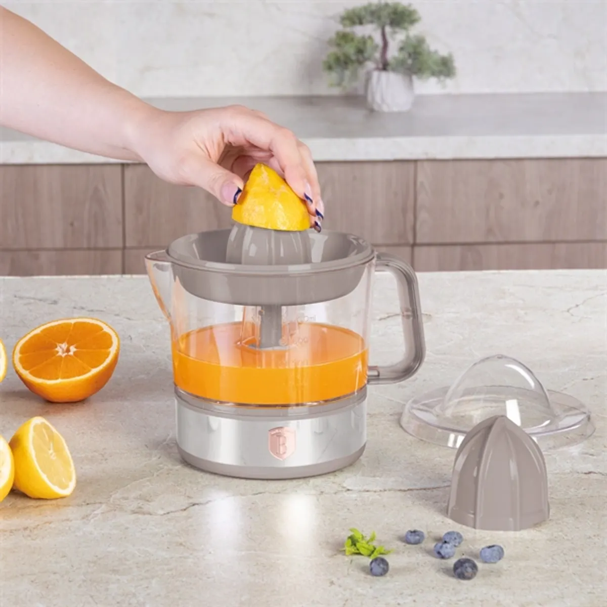 Berlinger Haus BH/9719 elektromos citrus facsaró 40 W 0,7 L Szürke 15 cm szélesség 20 cm magasság Légyűjtő edény #2