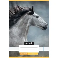 Nebulo SI-CM-A5 füzet sima A5 32 lap #5