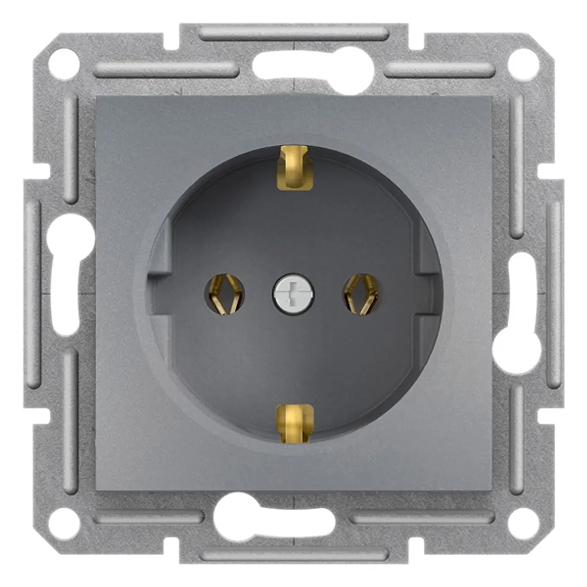 Schneider EPH2900162 Asfora csavaros 2P-F csatlakozóaljzat acél IP20 #1