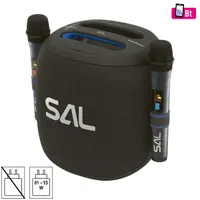 SAL PARCUBE boombox 100 W Bluetooth USB AUX Micro SD 2x vezeték nélküli mikrofon IPX5 9 óra