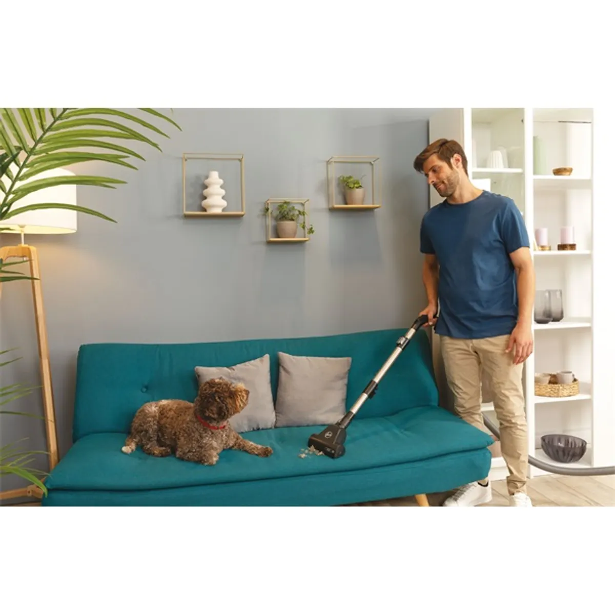 Hoover 39002299 porzsáknélküli porszívó 850 W portartály 2 l HEPA ciklon fekete #7