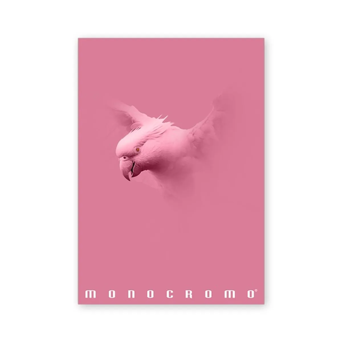 Pigna P1111-1293 Monocromo Pink A4 38 lap kockás füzet #3