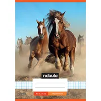 NEBULO NR-2-CM-A5 kockás füzet A5 32 lap #7