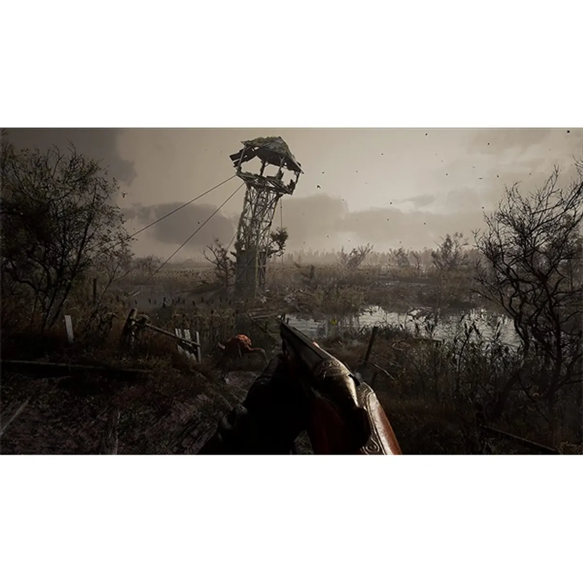 PLAION 2807573 S.T.A.L.K.E.R. 2: Heart of Chernobyl Limited Edition Xbox Series X #2