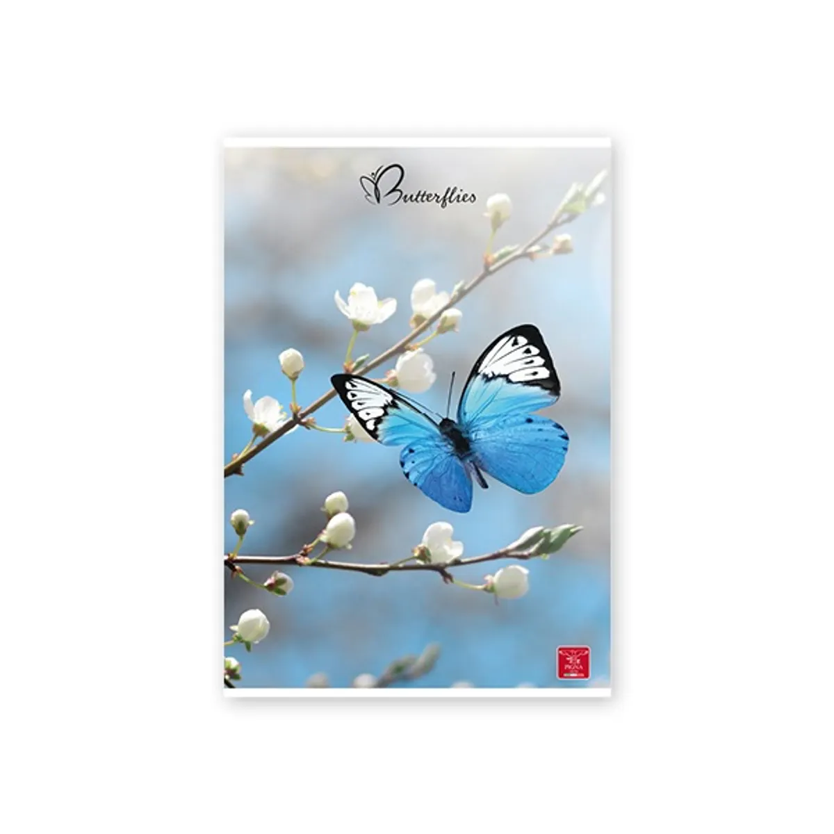 Pigna P1111-1281 Butterflies A4 42 lapok kockás tűzött #3