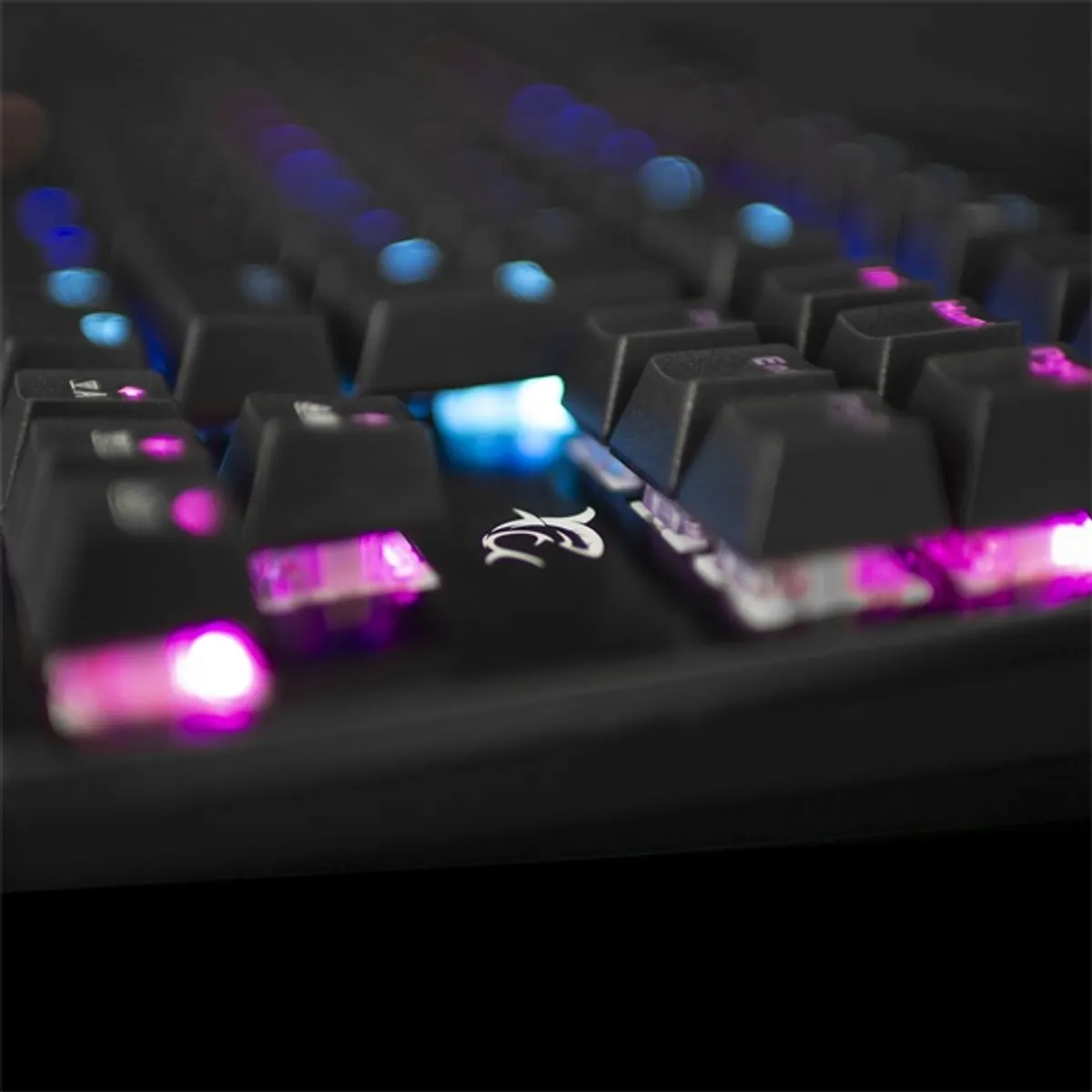 WHITE SHARK WS GK-1925 Spartan GK-1925 tenkeyless kék kapcsolók RGB USB 2.0 1.8 m fekete #6