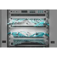 DIGITUS DN-97601-2 kábelrendező panel 19" 1U perforált műanyag szürke #5