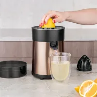 Berlinger Haus BH-9588 gyümölcsfacsaró gép rózsaarany 85 W 0,30 L 80 cm 2 db facsaró fej #6