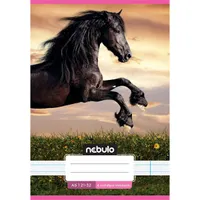 NEBULO VO4-2-CM-A5 füzet-vonalas A5 32 lapos 4.osztályos #2