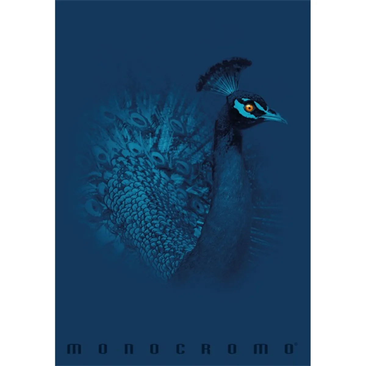 PIGNA P1111-1856 Monocromo Blue a4 tűzött 38 lapos vonalas füzet #2