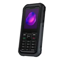 TCL 3189D-3ALCE112 DualSIM 4G szürke 2,4" nanoSIM MicroSD USB-C vízálló porálló #9