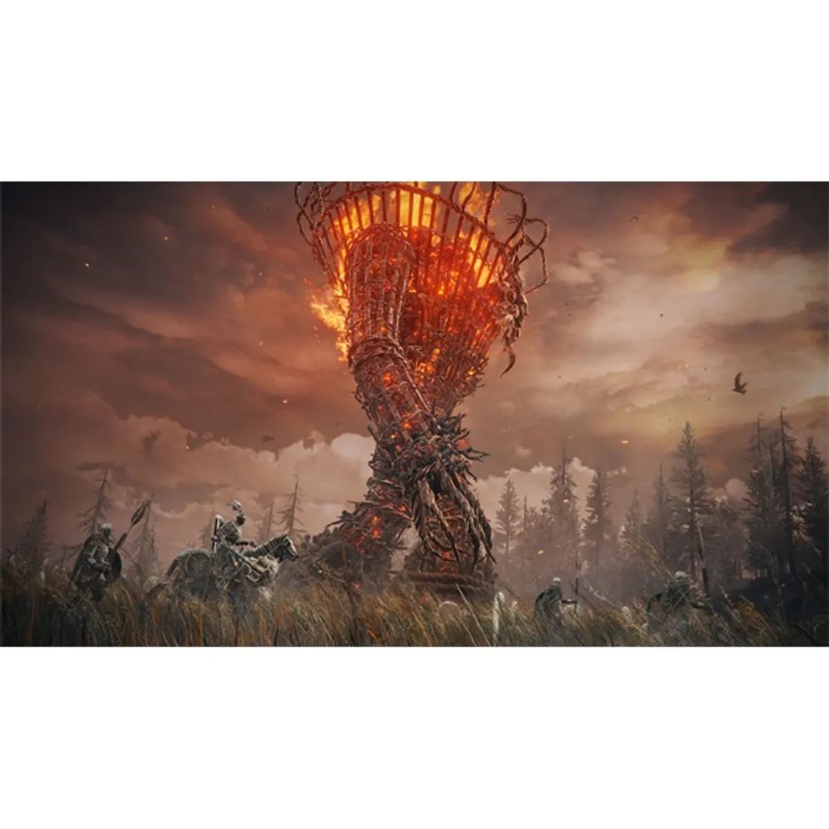 Bandai Namco 3391892031942 Elden Ring Shadow of the Erdtree Edition Xbox Series X 16 év #3