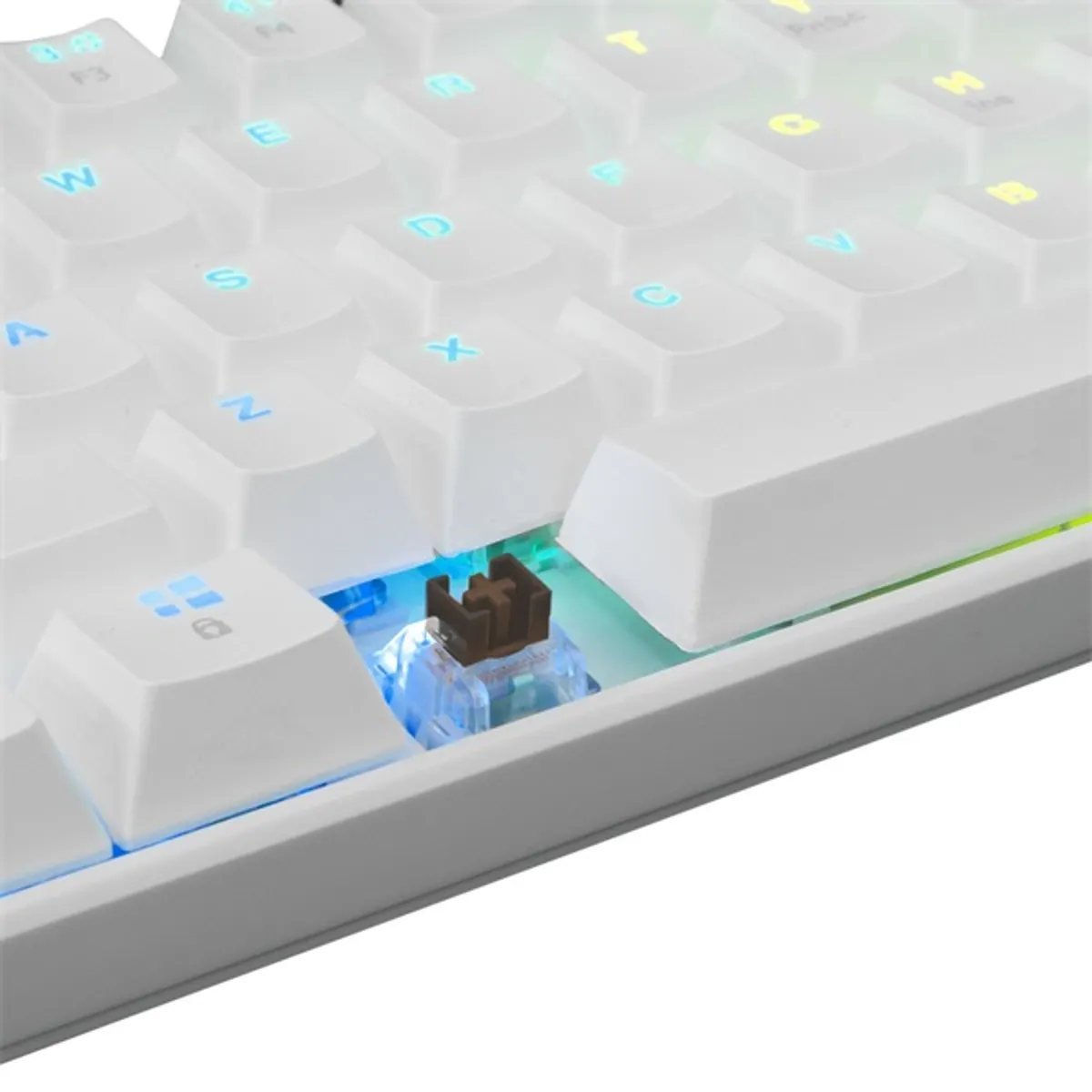 WHITE SHARK WS GK-2022W-BR-US Shinobi GK-2022W Fehér kompakt 60%-os mechanikus Outemu Brown RGB USB 2.0 US kiosztás 62 gomb 50 millió leütés 180 cm #5