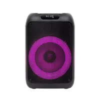 SAL PAR200 PAR200 50 W 2-utas hangrendszer Bluetooth USB microSD AUX LED karaoke #7