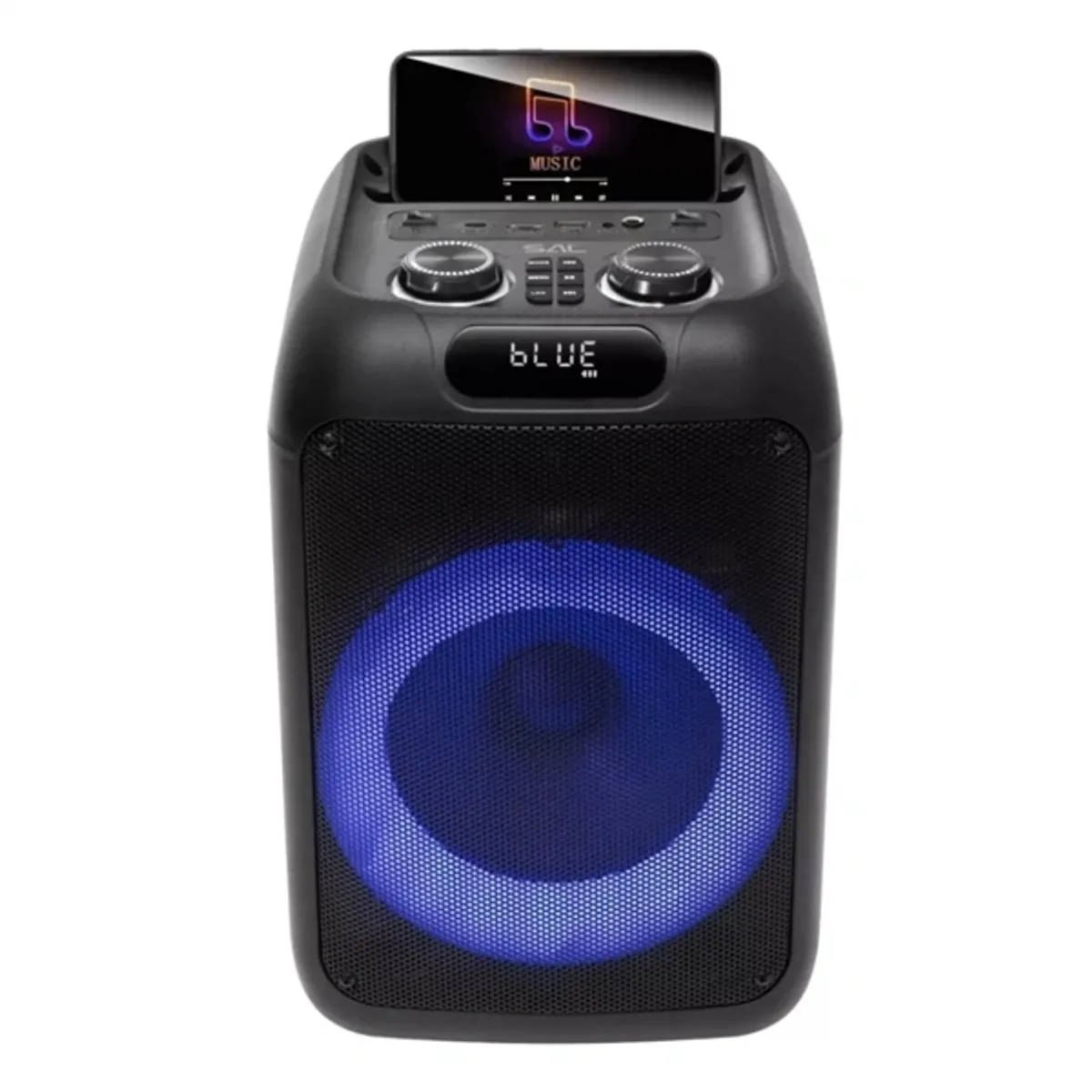 SAL PAR200 PAR200 50 W 2-utas hangrendszer Bluetooth USB microSD AUX LED karaoke #1
