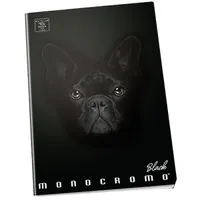 PIGNA P1111-0524 Monocromo Black A5 42lapos kockás füzet