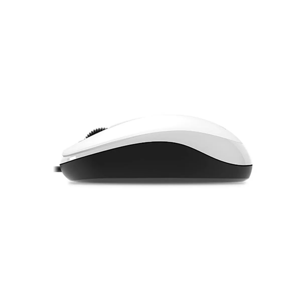 Genius 31010106102 DX-125 fehér optikai egér usb kétgombos görgővel 1000 dpi 150 cm #6