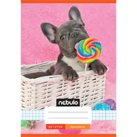 NEBULO NR-2-CM-A5 kockás füzet A5 32 lap #3