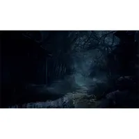 Capcom C Resident Evil 4 standard Xbox One Xbox Series kompatibilis 18 év Horror #2