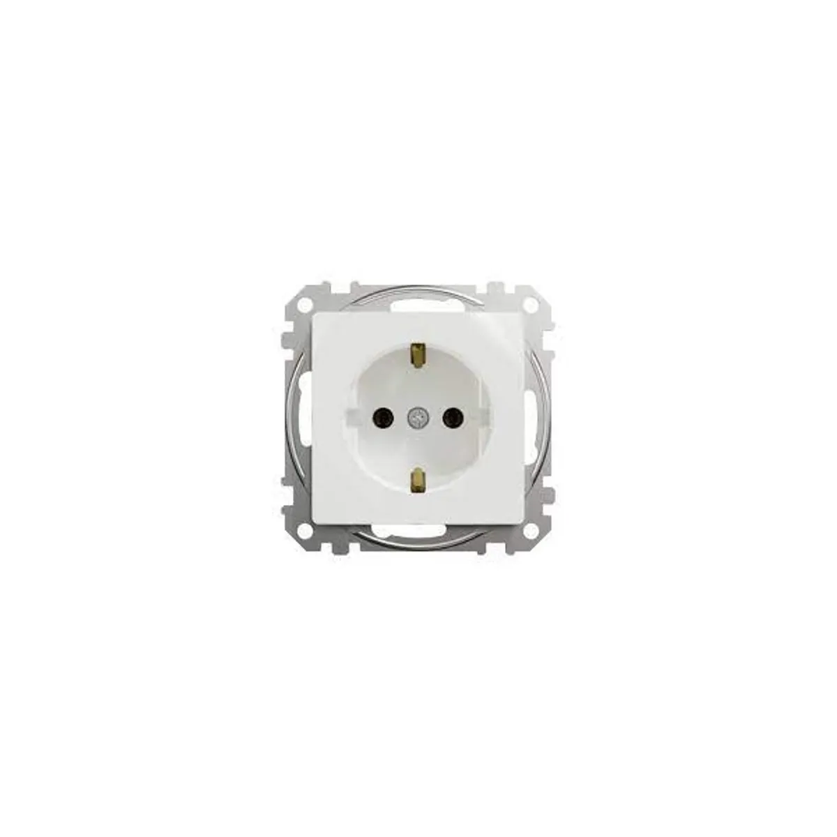 Schneider SDD111025 Sedna 2P-F aljzat csavaros 16A fehér IP20 #1