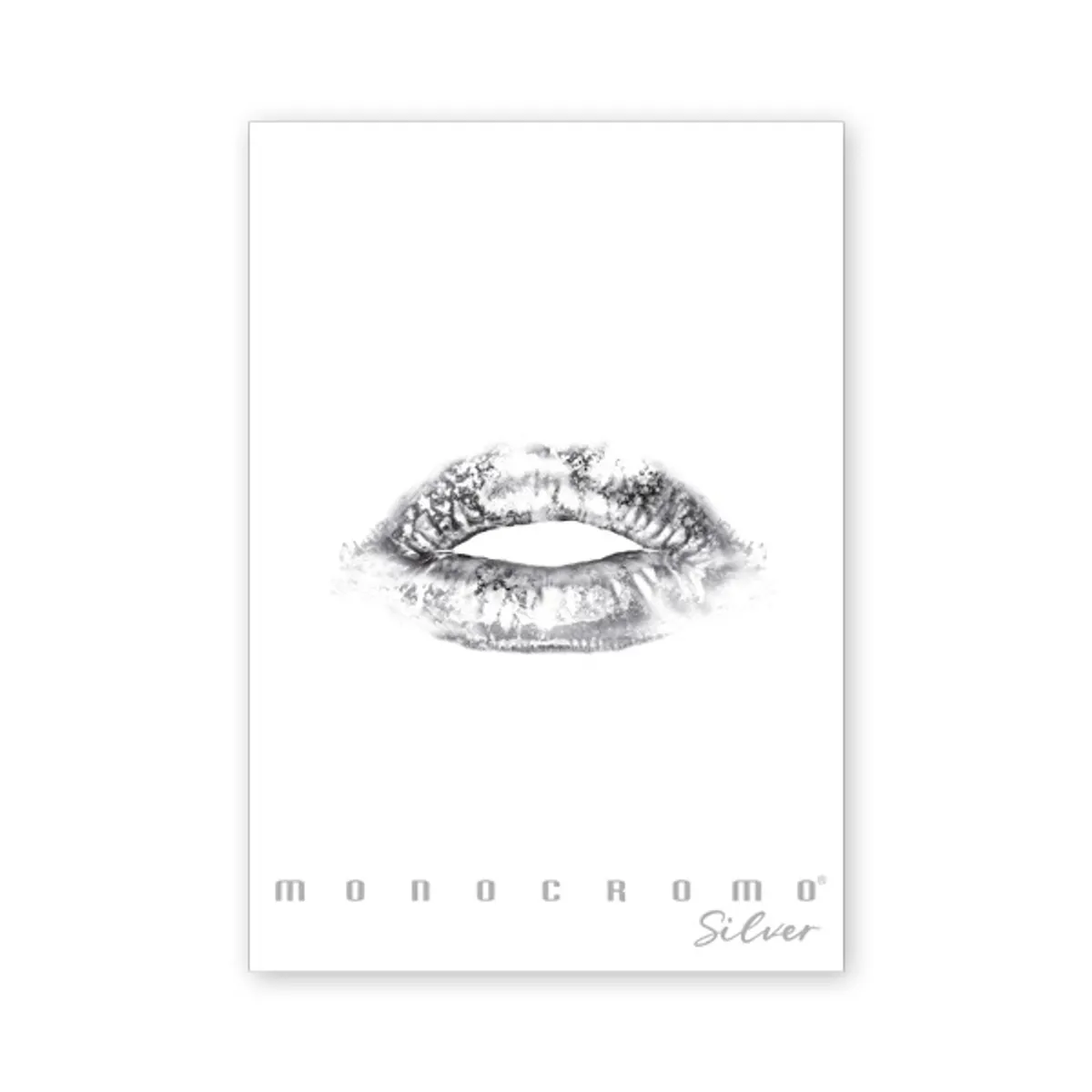 Pigna P1111-1290 Monocromo Silver A4 38 lap vonalas füzet #3