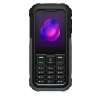 TCL 3189D-3ALCE112 DualSIM 4G szürke 2,4" nanoSIM MicroSD USB-C vízálló porálló