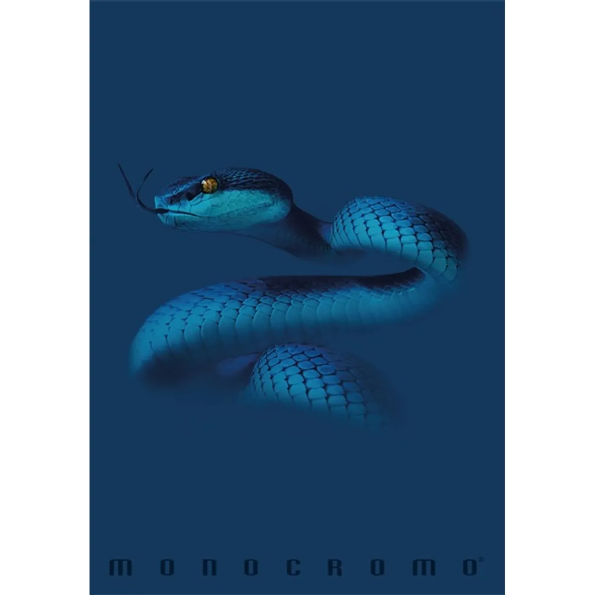 PIGNA P1111-1856 Monocromo Blue a4 tűzött 38 lapos vonalas füzet #4