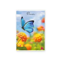 Pigna P1111-1281 Butterflies A4 42 lapok kockás tűzött #7
