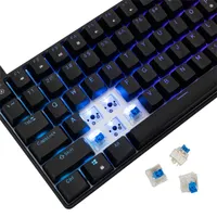 White Shark WS GK-005121-B/BL-US Hamachi fekete 84/85 kulcs Forró swap mechanikus kék kapcsolók, teljes Anti-Ghosting, per-key RGB, USB-C, 1,8 m #6