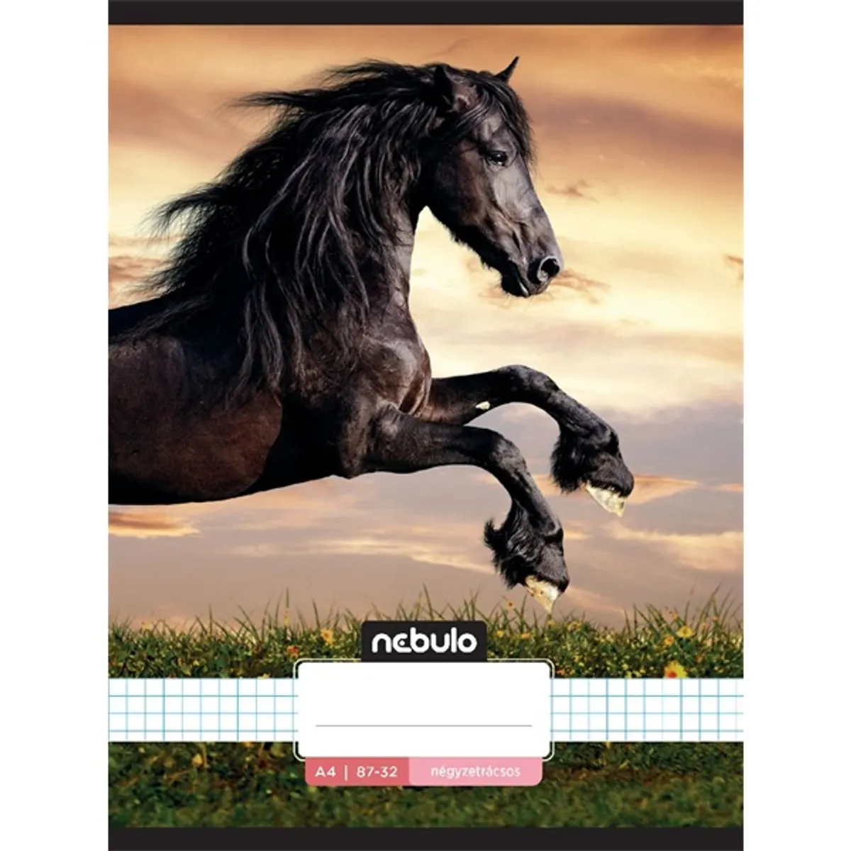 Nebulo NR-LD-A4 L-Design A4 32 lapos kockás tűzött füzet #7