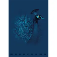 PIGNA P1111-1856 Monocromo Blue a4 tűzött 38 lapos vonalas füzet #2