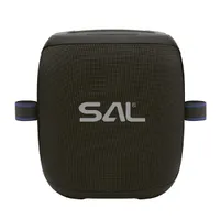 SAL PARCUBE boombox 100 W Bluetooth USB AUX Micro SD 2x vezeték nélküli mikrofon IPX5 9 óra #2