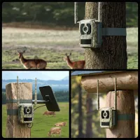 REOLINK TALON SERIES T130 Talon Series T130 8MP 4K éjjellátó IP67 4G és WiFi terepmintás kültéri kamera #7
