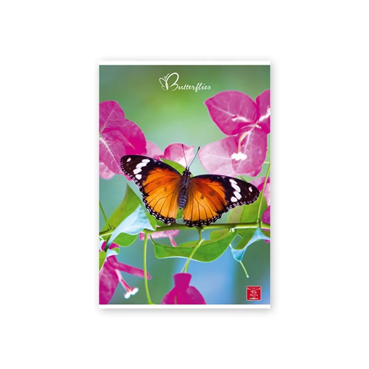 Pigna P1111-1281 Butterflies A4 42 lapok kockás tűzött #5